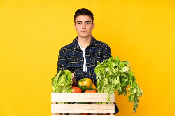 Hombre Adolescente Granjero Con Verduras Recién Recogidas Una Caja Manteniendo — Foto de Stock