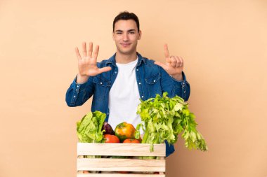 Bej arka planda izole edilmiş bir kutuda taze sebze toplayan çiftçi parmaklarıyla yediyi sayıyor.