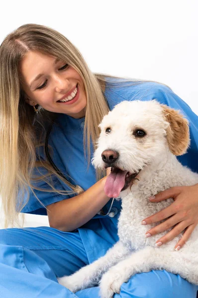 Jovem Veterinária Mulher Com Cão Sentado Chão — Fotografia de Stock