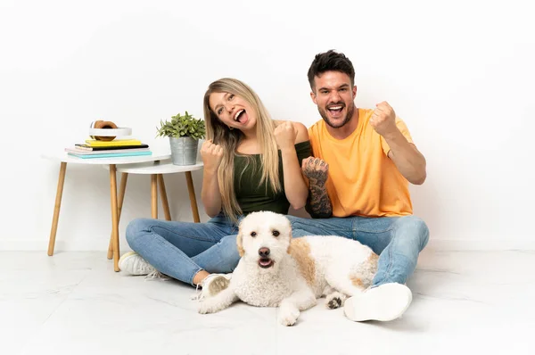 Jovem Casal Caucasiano Com Cão Hospedado Casa Celebrando Uma Vitória — Fotografia de Stock