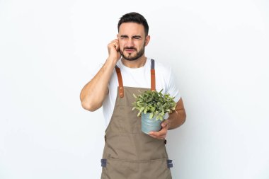 Bahçıvan beyaz arka planda izole edilmiş bir bitki tutuyor. Hayal kırıklığına uğramış ve kulakları kapalı.