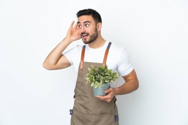 Bahçıvan beyaz arka planda izole edilmiş bir bitki tutuyor ve elini kulağına koyup bir şeyler dinliyor.