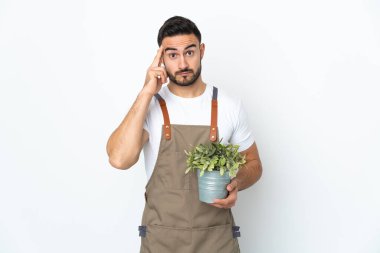 Bahçıvan elinde bir bitki tutarken beyaz arka planda bir fikir düşündü.