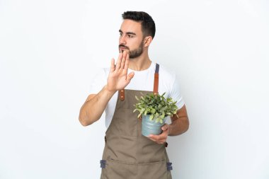 Bahçıvan beyaz arka planda izole edilmiş bir bitki tutuyor. Durma hareketi yapıyor ve hayal kırıklığına uğruyor.