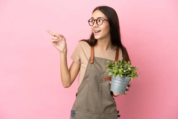 Jong Tuinman Meisje Houden Een Plant Geïsoleerd Roze Achtergrond Van — Stockfoto