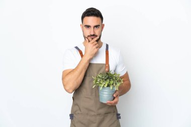 Bahçıvan elinde bitkiyi tutarken beyaz arka planda izole olduğunu düşünüyor.