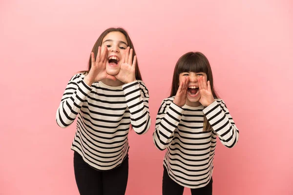 Kleine Zusjes Meisjes Geïsoleerd Roze Achtergrond Schreeuwen Kondigen Iets — Stockfoto