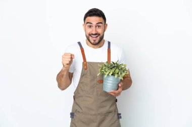 Bahçıvan beyaz arka planda saklanmış bir bitki tutuyor ve galibiyeti kutluyor.