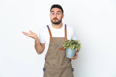 Bahçıvan beyaz arka planda izole edilmiş bir bitki tutarken şüphe içinde el kaldırıyor.