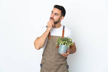 Bahçıvan elinde bir bitki tutuyor. Beyaz arka planda izole edilmiş ve yukarı bakıyor.