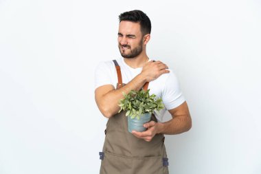 Bahçıvan beyaz arka planda bir bitki tutuyor. Çabaladığı için omuz ağrısı çekiyor.