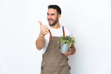 Bahçıvan beyaz arka planda bir bitki tutuyor. Başparmakları havada. Çünkü iyi bir şey oldu.