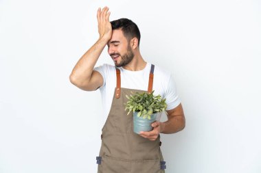 Bahçıvan beyaz arka planda izole edilmiş bir bitki tutuyor. Bir şey fark etti ve çözümü arıyor.