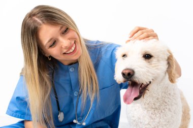 Yerde köpekli genç bir veteriner kadın oturuyor.