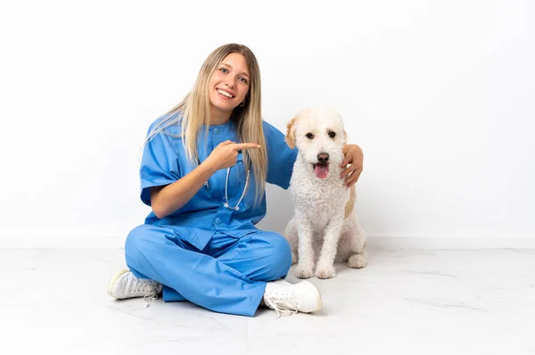 Νεαρή Κτηνίατρος Γυναίκα Σκυλί Κάθεται Στο Πάτωμα Δείχνοντας Δάχτυλο Στο — Φωτογραφία Αρχείου