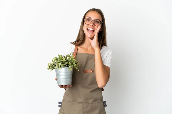 Tuinier Meisje Houden Een Plant Geïsoleerde Witte Achtergrond Schreeuwen Met — Stockfoto