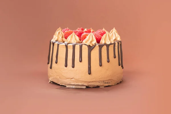 Heerlijke Zelfgemaakte Chocoladetaart Met Fruit Geïsoleerde Achtergrond — Stockfoto