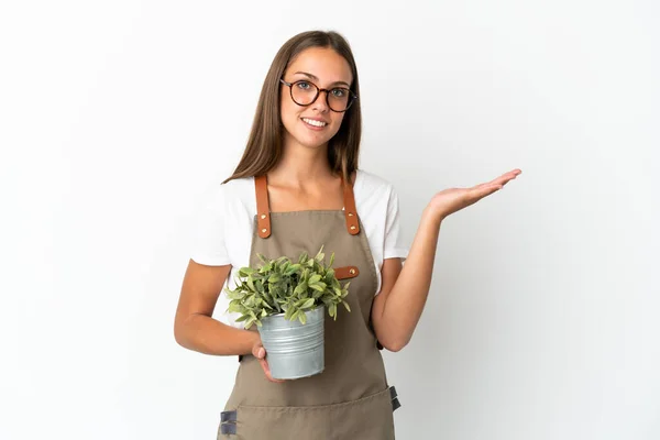 Tuinier Meisje Houdt Een Plant Geïsoleerde Witte Achtergrond Reikende Handen — Stockfoto