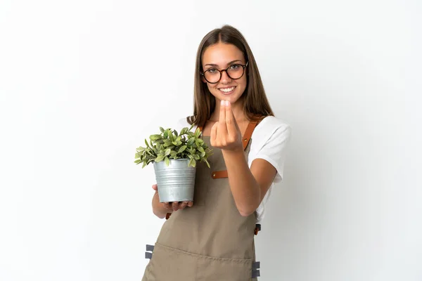 Kertész Lány Gazdaság Egy Növény Felett Elszigetelt Fehér Háttér Pénzt — Stock Fotó
