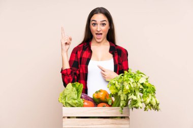 Bej arka planda izole edilmiş bir kutuda yeni toplanmış sebzelerle sürpriz bir yüz ifadesi olan çiftçi.