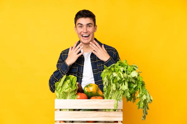 Έφηβος Αγρότης Φρεσκοκομμένα Λαχανικά Κουτί Έκφραση Έκπληξη Στο Πρόσωπο — Φωτογραφία Αρχείου