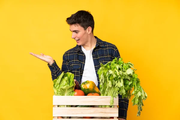 Nastoletni Rolnik Świeżo Zebranymi Warzywami Pudełku Wyobrażoną Przestrzenią Kopiowania Dłoni — Zdjęcie stockowe