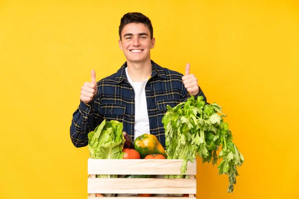 Έφηβος Αγρότης Φρεσκοκομμένα Λαχανικά Ένα Κουτί Κάνει Μια Χειρονομία — Φωτογραφία Αρχείου