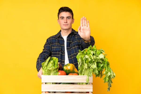 Adolescente Granjero Hombre Con Verduras Recién Recogidas Una Caja Haciendo — Foto de Stock
