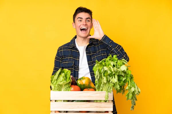 Nastoletni Rolnik Świeżo Zebranymi Warzywami Pudełku Krzyczący Otwartymi Ustami — Zdjęcie stockowe