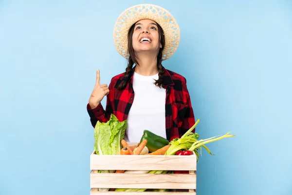 Joven Agricultora Mujer Sosteniendo Verduras Frescas Una Cesta Madera Apuntando — Foto de Stock