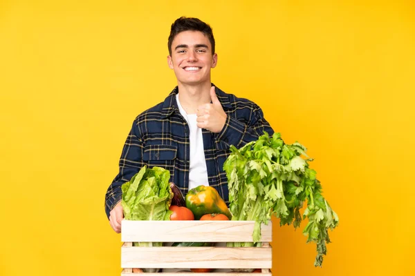 Adolescente Granjero Hombre Con Verduras Recién Recogidas Una Caja Dando — Foto de Stock