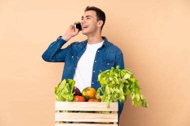 Bej arka planda izole bir kutuda taze toplanmış sebzelerle çiftçi cep telefonuyla sohbet ediyor.