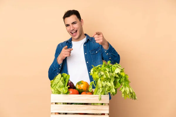 Agricultor Con Verduras Recién Recogidas Una Caja Aislada Sobre Fondo — Foto de Stock