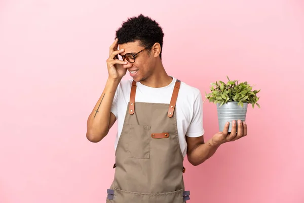 Gärtner Afrikanischer Mann Hält Eine Pflanze Isoliert Auf Rosa Hintergrund — Stockfoto