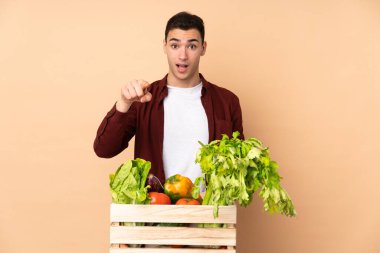 Bej arka planda izole edilmiş bir kutuda taze sebze toplayan çiftçi şaşırmış ve ön tarafı işaret ediyor.