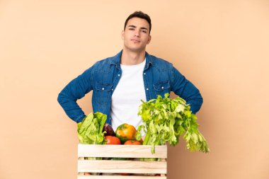 Bej arka planda izole edilmiş bir kutuda taze sebze toplayan çiftçi kızgın.