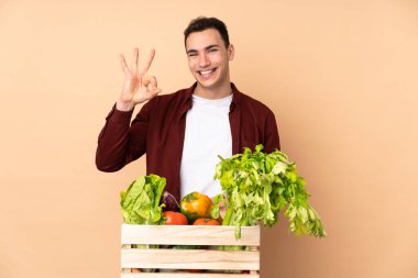 Bej arka planda izole edilmiş bir kutuda taze toplanmış sebzeli çiftçi parmaklarıyla tamam işareti gösteriyor.