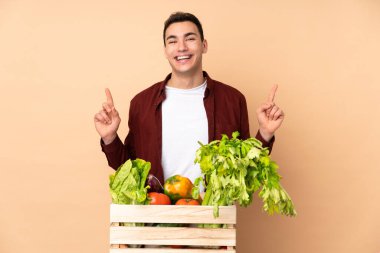 Bej arka planda izole edilmiş bir kutuda taze sebze toplayan çiftçi harika bir fikre işaret ediyor.