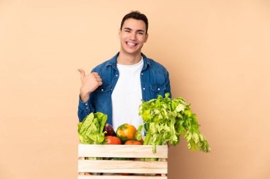 Bej arka planda izole edilmiş bir kutuda taze toplanmış sebzelerle çiftçi bir ürünü sunmak için yan tarafı işaret ediyor.