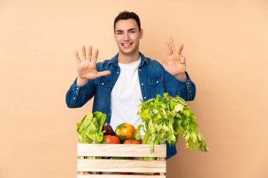 Bej arka planda izole edilmiş bir kutuda taze sebze toplayan çiftçi parmaklarıyla dokuz tane sayıyor.