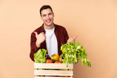 Bej arka planda izole edilmiş kutuda taze sebze toplayan çiftçi. Baş parmakları havada ve gülümsüyor.