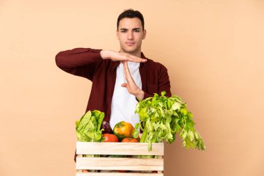 Bej arka planda izole edilmiş bir kutuda taze sebze toplayan çiftçi jest yapıyor.