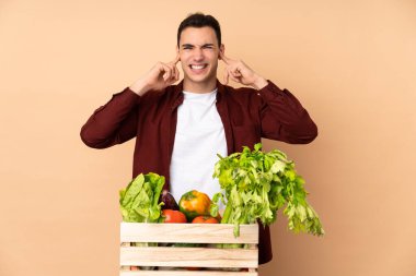 Bej arka planda izole edilmiş bir kutuda taze sebze toplayan çiftçi hayal kırıklığına uğramış ve kulaklarını kapatmış.