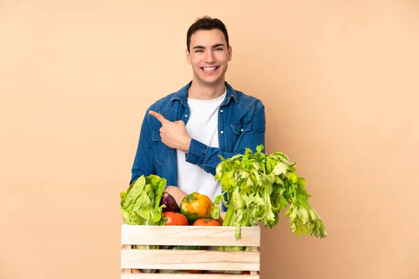 Farmer Freshly Picked Vegetables Box Isolated Beige Background Pointing Side — Stock Photo, Image