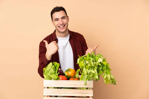 Farmer with freshly picked vegetables in a box isolated on beige background with thumbs up gesture and smiling