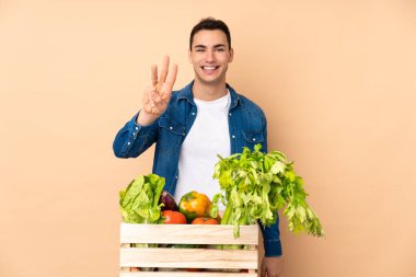 Bej arka planda izole edilmiş bir kutuda taze sebze toplayan çiftçi mutlu ve parmaklarıyla üçe kadar sayıyor.