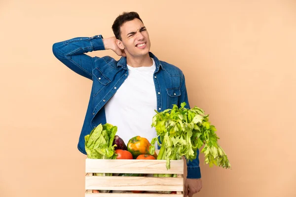 Farmer with freshly picked vegetables in a box isolated on beige background with neckache