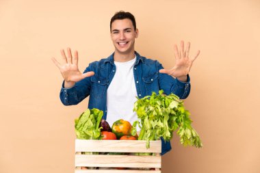 Bej arka planda izole edilmiş bir kutuda taze sebze toplayan çiftçi parmaklarıyla on tane sayıyor.