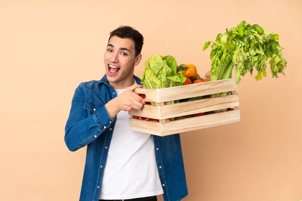 Agricultor Con Verduras Recién Recogidas Una Caja Aislada Sobre Fondo — Foto de Stock