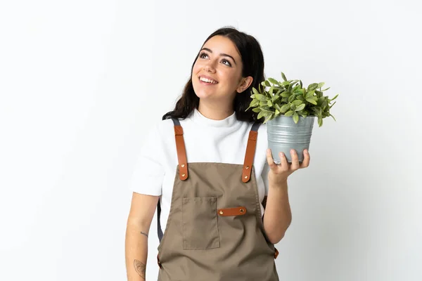 Giovane Donna Caucasica Che Tiene Una Pianta Isolata Sfondo Bianco — Foto Stock